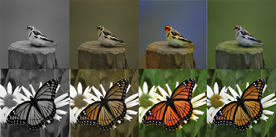 Deep learning image colorization project visual