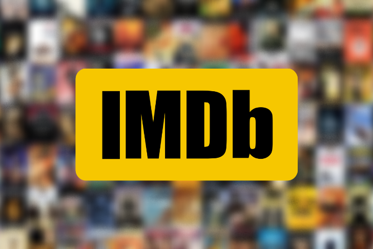 IMDb sentiment classification project visual